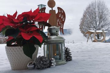 800x600cs Weihnachten im Familienhotel Der Ponyhof: Winterdeko sorgt für winterliche Stimmung. Im Hintergrund ist eine traumhafte Schneelandschaft zu sehen.